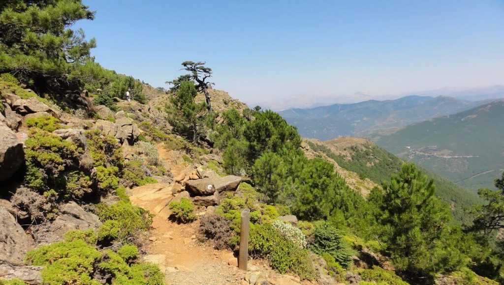 Estepona Sierra Bermeja