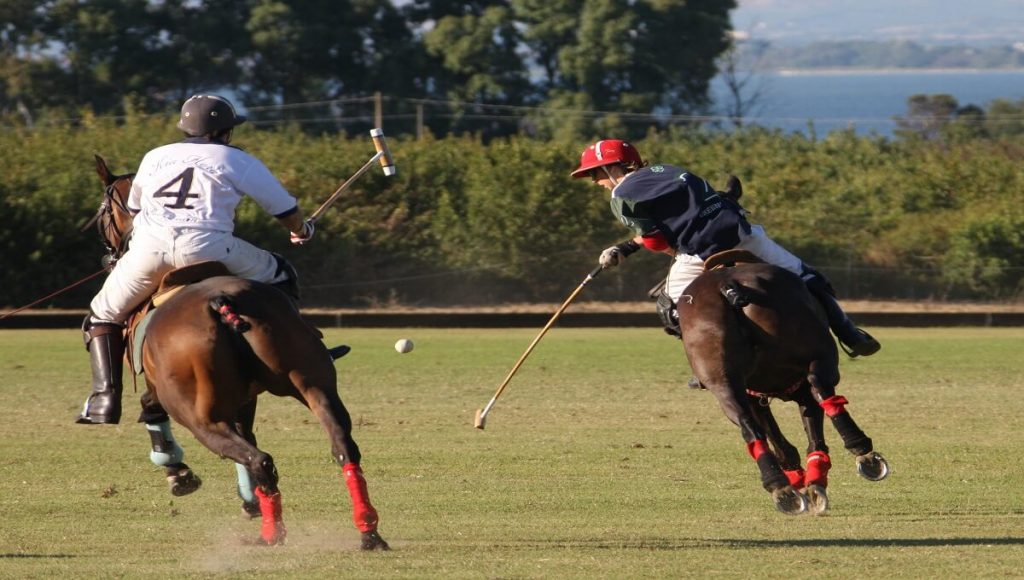 Sotogrande & Sports