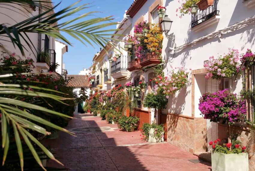 What to Do in Estepona
